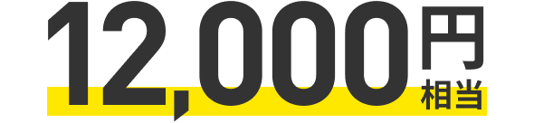 12,000円相当