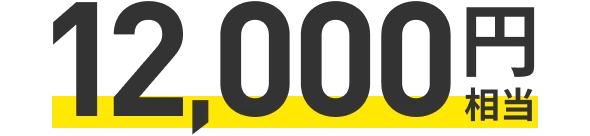 12,000円相当