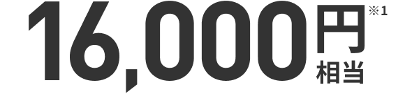 16,000円相当