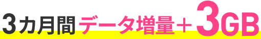 3カ月間データ増量プラス3GB