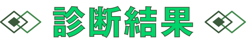 診断結果