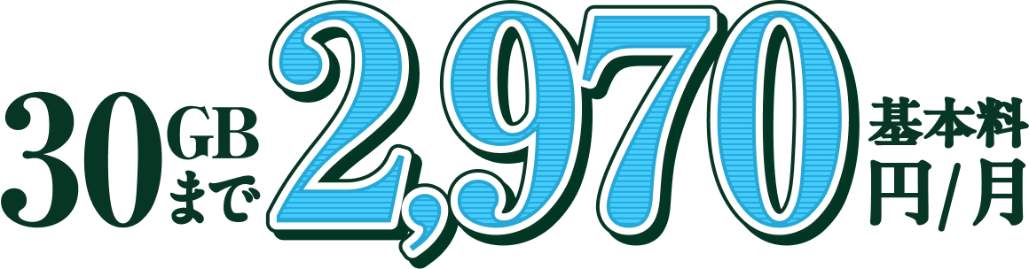 基本料 30GBまで2,970円/月