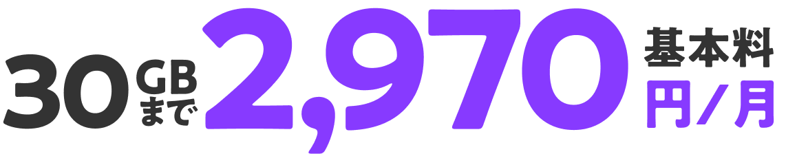 基本料 30GBまで2,970円/月