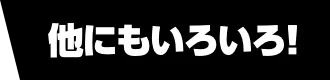 他にもいろいろ!