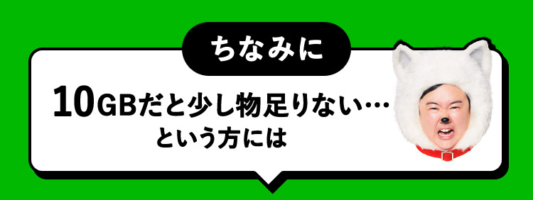 ちなみに10GBだと少し物足りない…という方には