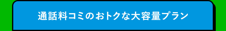 通話料コミのおトクな大容量プラン