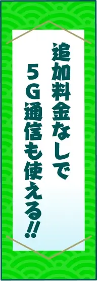 追加料金なしで5G通信も使える‼︎