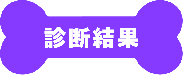 診断結果