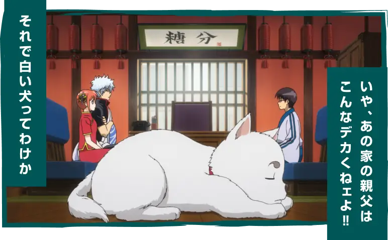 「それで白い犬ってわけか」「いや、あの家の親父はこんなデカくねェよ‼︎」