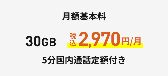 月額基本料 30GB 2,970円、5分国内通話定額付き