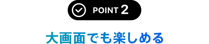 POINT 2 大画面でも楽しめる