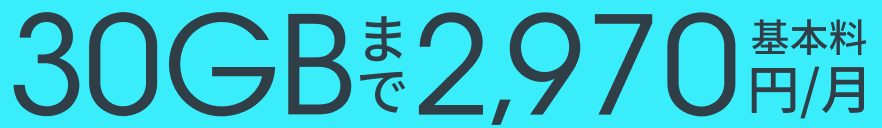 基本料 30GBまで2,970円/月